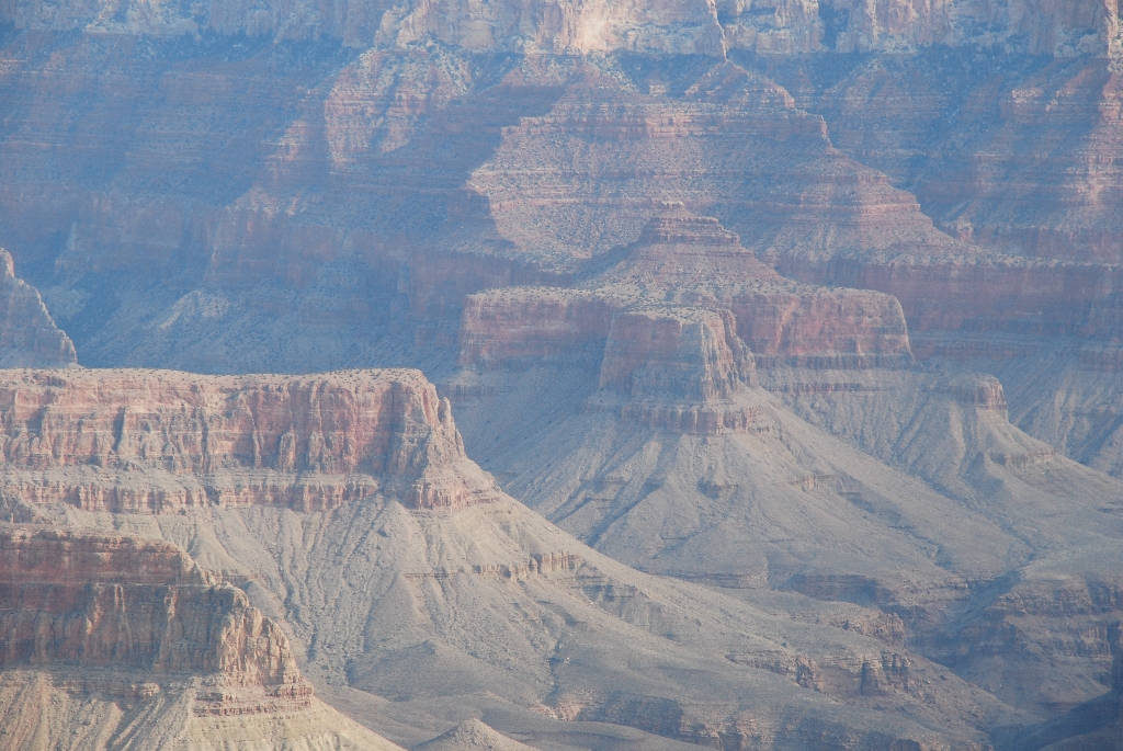 DSC_1660.JPG